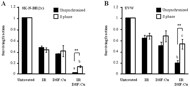The effect of DSF:Cu on cellular radiosensitivity in S phase.