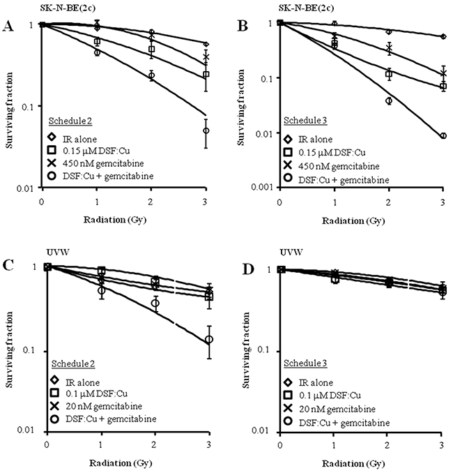 The effect of drug administration according to schedules 2 and 3 on clonogenic survival of SK-N-BE(2c) and UVW cells.