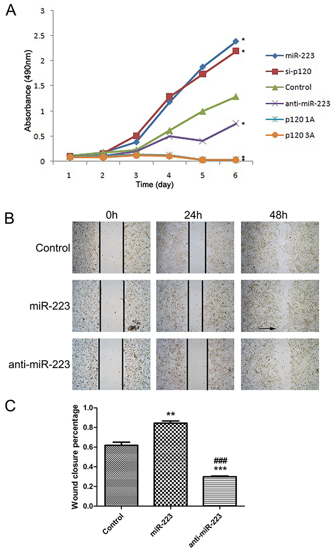 miR-223 overexpression enhances LoVo cell proliferation and regeneration.
