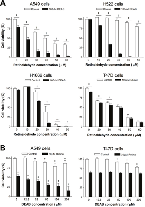 Effects of retinaldehyde and ALDH inhibition on cell viability.