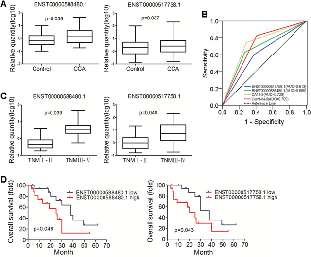 Validation of diagnostic and prognosis value of lncRNAs in CCA.