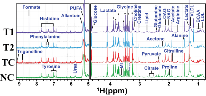 Stack plot of representative 1D 1H NMR spectra of rat sera obtained from different groups.