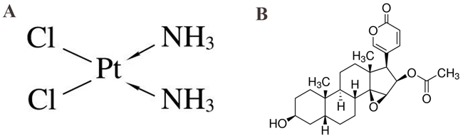 Figure 1: