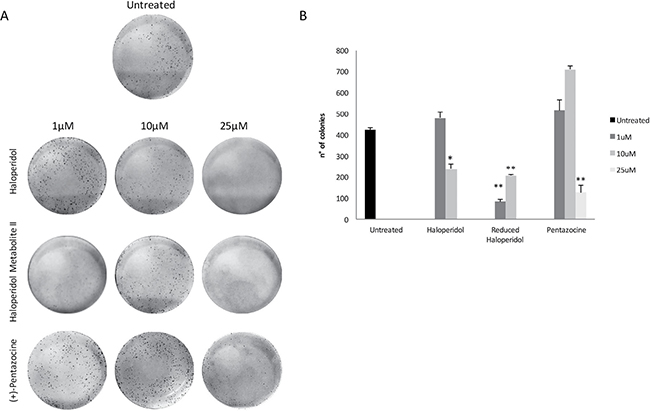 Colony formation capacity following treatments with (+)-Pentazocine, Haloperidol and Haloperidol metabolite II.