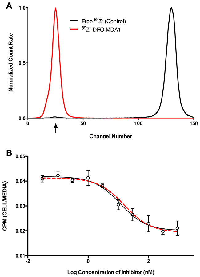 In vitro characteristics of 89Zr-DFO-MPA1.