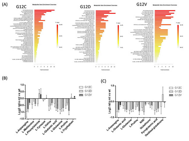 Metabolic pathway analyses related to the metabolites that specifically differ in KRAS mutant clones G12C, G12D, G12V and KRAS WT, utilizing the MetaboAnalyst functional interpretation tools.