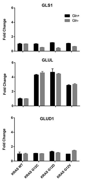 Relative expression levels of genes encoding glutamine-metabolizing enzymes in the indicated clones determined by real-time PCR, with (black bars) or without (grey bars) glutamine.