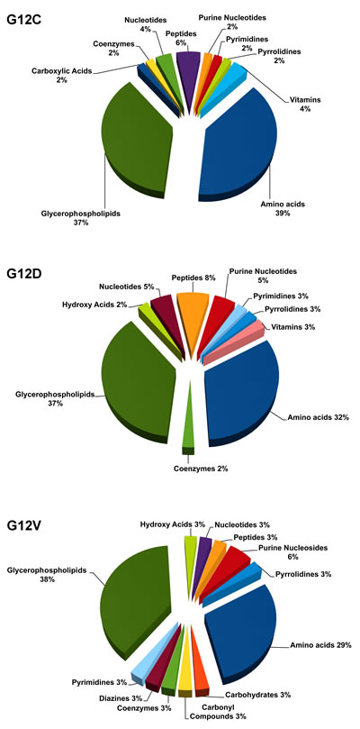 Significantly deregulated metabolites in each of the KRAS mutant clones G12C, G12D, G12V compared to WT, categorized into biochemical groupings based on the Kyoto Encyclopedia of Genes and Genome (KEGG).