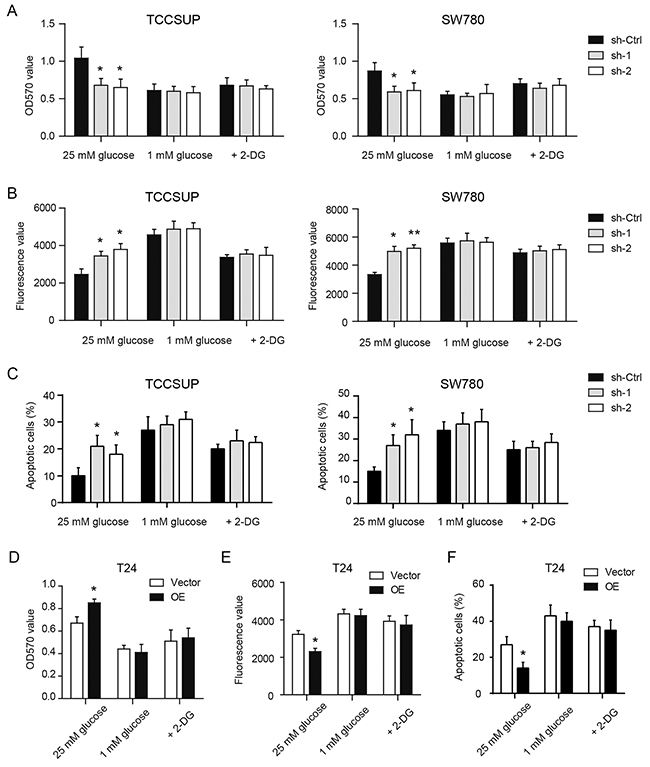 YBX1 promotes tumor growth by enhancing glycolysis of bladder cancer.