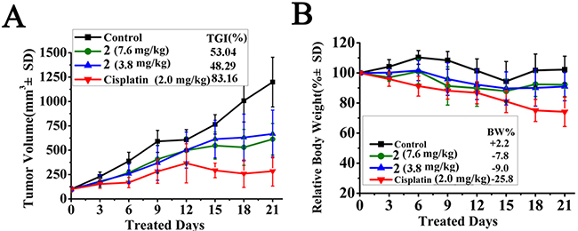 In vivo anticancer activity of 2 in HepG2 xenograft model.