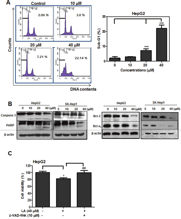 Effect of LA on sub-G1 population and apoptosis related proteins in hepatocellular carcinoma cells.