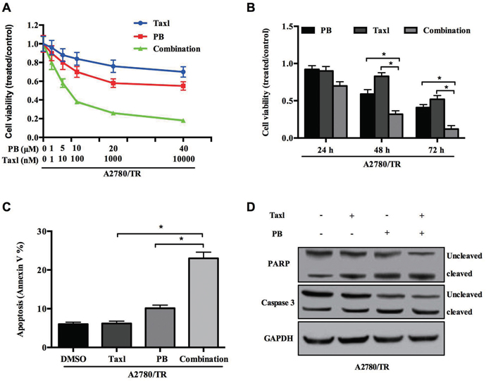 Physapubescin B resensitize taxol resistant OC cells to taxol treatment.