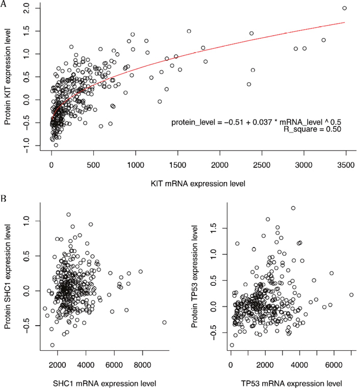 The scatter plot of mRNA expression levels versus corresponding protein expression levels.