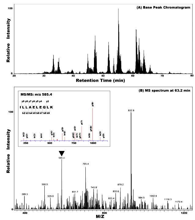 data for OncoTarget MS.pdf