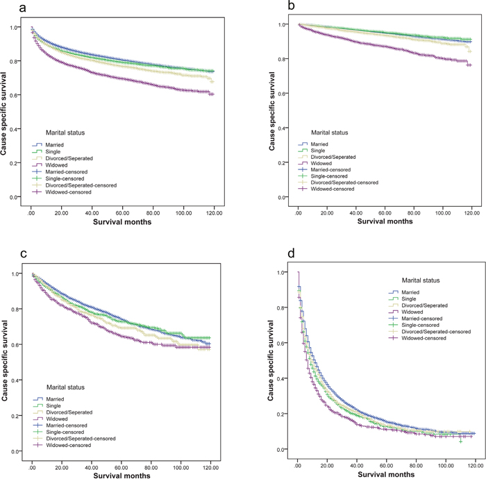 Survival curves of renal cancer patients according to marital status.