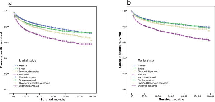 Survival curves of renal cancer patients according to marital status.