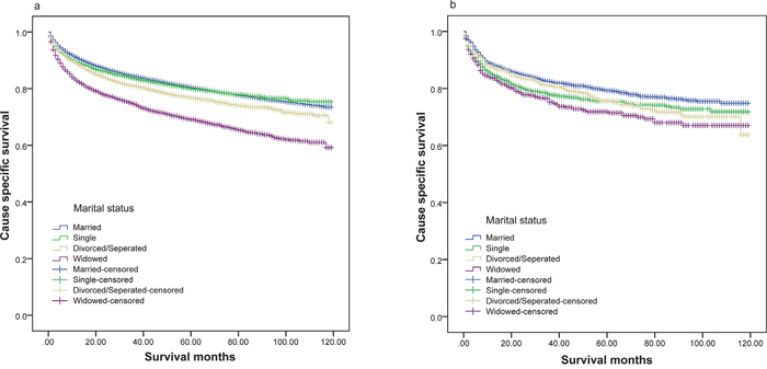 Survival curves of renal cancer patients according to marital status.