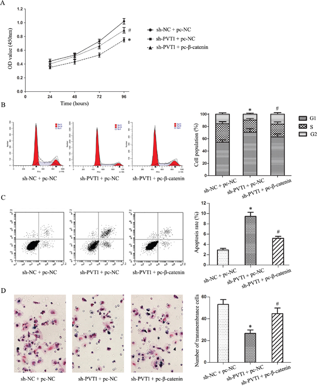 Wnt/&#x03B2;-catenin pathway-mediated inhibition of T24/DR cell malignant characteristics induced by PVT1 knockdown.