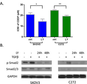 A) Inhibition of TGF-&#x3b2; pathway by inhibitor LY-364947 resensitized cisplatin on SKOV3 and C272 cells.