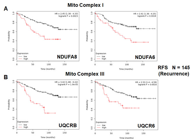 Mitochondrial complex I and complex III proteins are associated with tumor recurrence in high-risk ER(+) breast cancer patients.