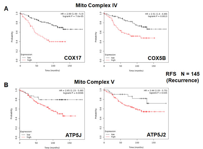 Mitochondrial complex IV and complex V proteins are associated with tumor recurrence in high-risk ER(+) breast cancer patients.