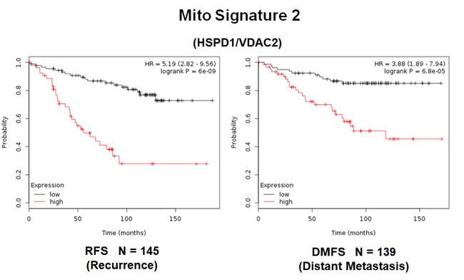 A short mitochondrial signature (Mito-Signature-2) predicts poor clinical outcome in high-risk ER(+) breast cancer patients.