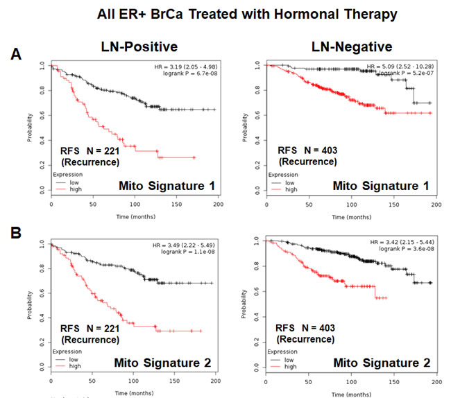 Mitochondrial signatures 1 and 2 both have predictive value in a larger group of ER(+) breast cancer patients, who were treated with hormonal therapy.