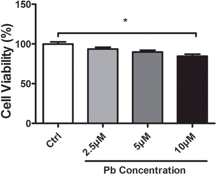 Cell viability altered by Pb exposure with various concentrations for 24 h.