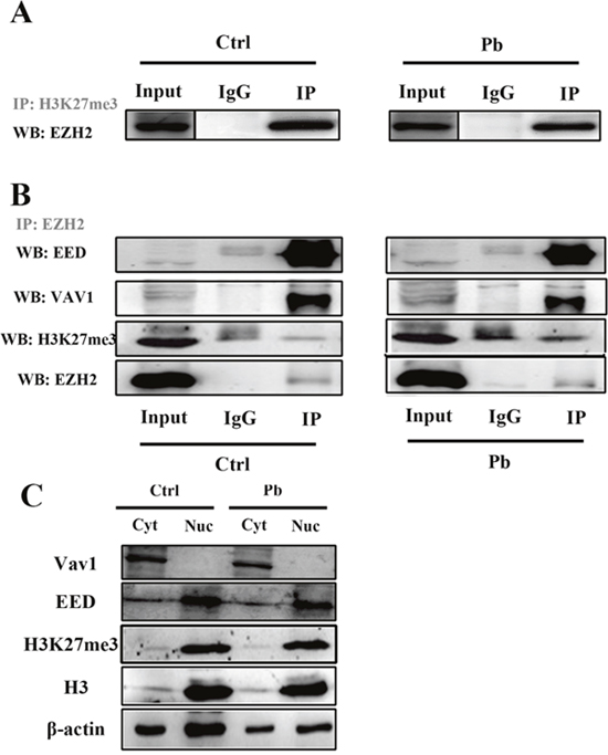 Figure 6: