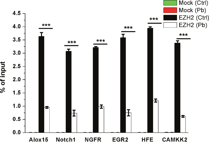 ChIP analysis of Alox15, Notch1, NGFR, EGR2, HFE, CaMKK2 promoter regions occupied by EZH2 in both control and Pb-exposed cells.