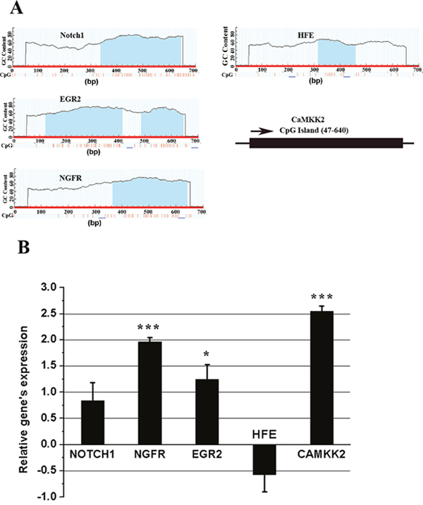 Figure 9: