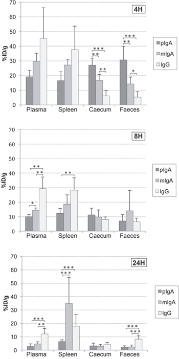 Biodistribution of 99mTc-anti-CEA pIgA-SH, 99mTc-anti-CEA mIgA-SH and 99mTc-anti-CEA IgG-SH.