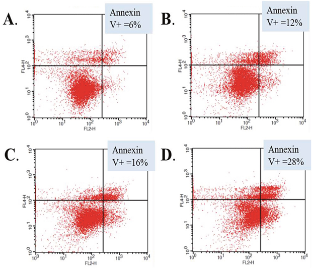 Abemaciclib induces increased apoptosis in RCC cells.