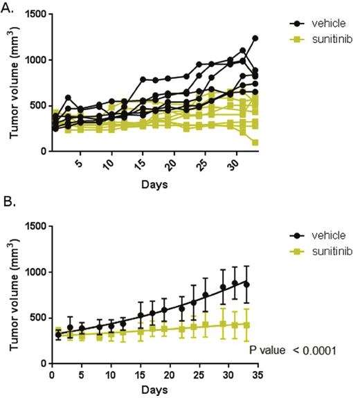 Mouse model reflects clinical experience.