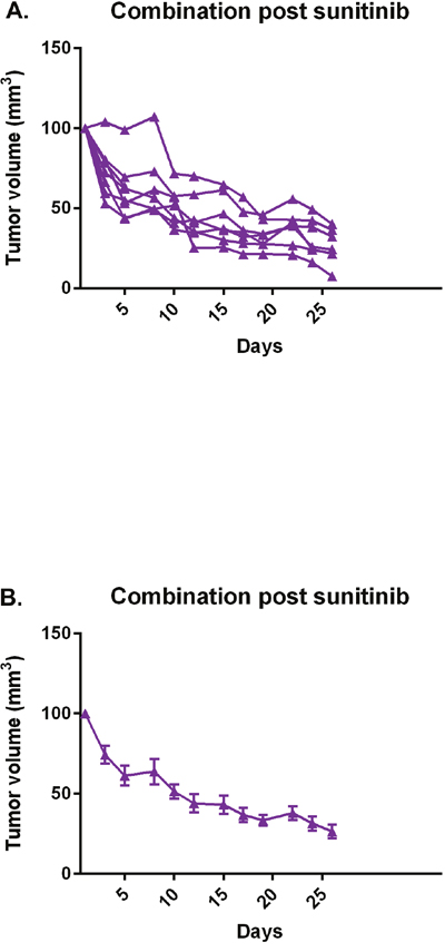 Combination abemaciclib/sunitinib causes tumor regression in mice pre-treated with sunitinib.