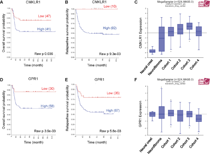 High CMKLR1 and GPR1 expression predicts poor survival in neuroblastoma patients.