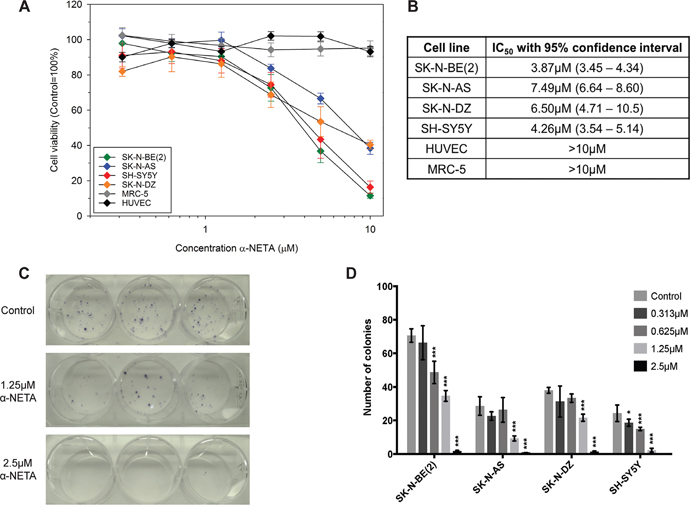 The CMKLR1 antagonist &#x03B1;-NETA reduces the cell viability and clonogenicity of neuroblastoma cell lines.