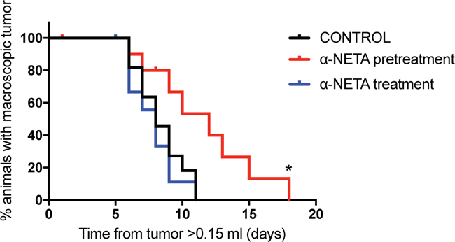 Early and prolonged CMKLR1 inhibition with &#x03B1;-NETA impairs tumor growth in vivo.