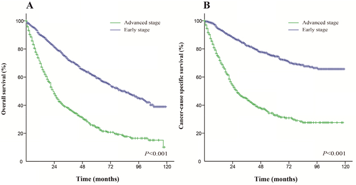 Kaplan-Meier survival curves.