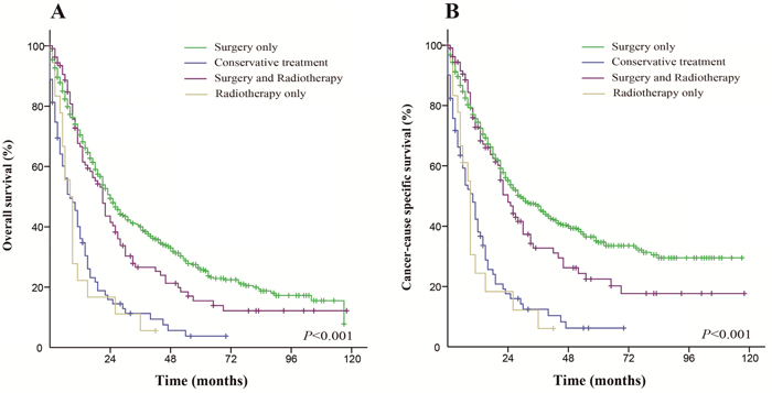 Kaplan-Meier survival curves.