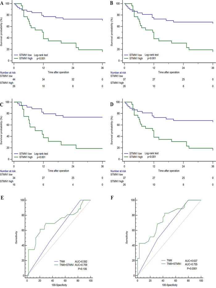 Subgroup Kaplan-Meier analyses of overall survival to assess prognostic value of STMN1 in GBC patients.