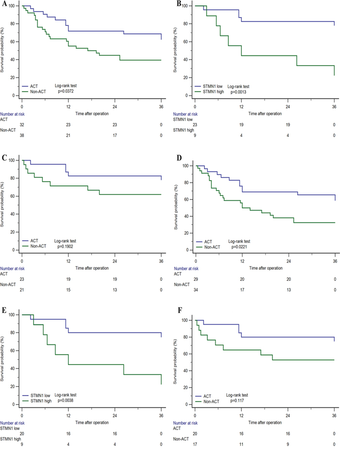 Relationship between STMN1 expression and benefit from adjuvant chemotherapy (ACT).