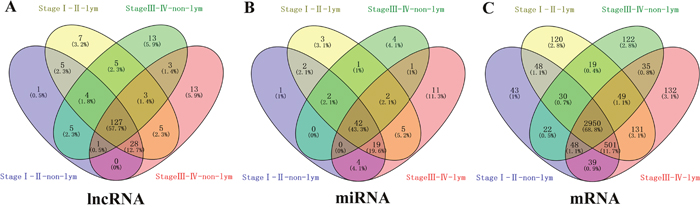 Venn diagram analysis of differentially expressed RNA in LUSC.