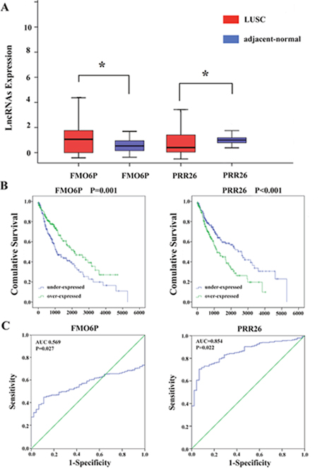 Two differentially expressed lncRNAs (FMO6P and PRR26).