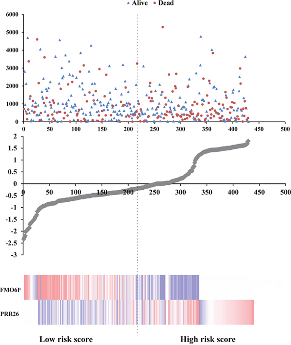 Risk score analysis of the differentially expressed lncRNA signature of LUSC.