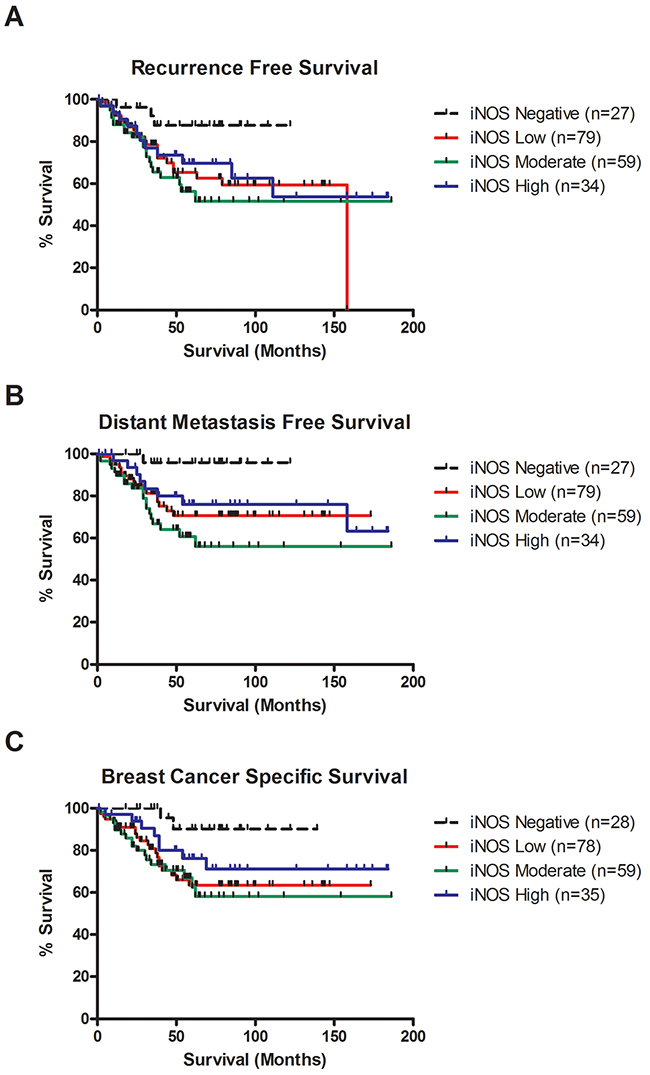 iNOS expression is associated with decreased recurrence free survival, distant metastasis free survival and breast cancer survival in TNBC.