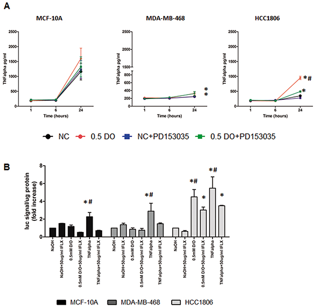 NO induces increased TNF&#x03B1; secretion and activation of NF-&#x03BA;B in HCC1806.