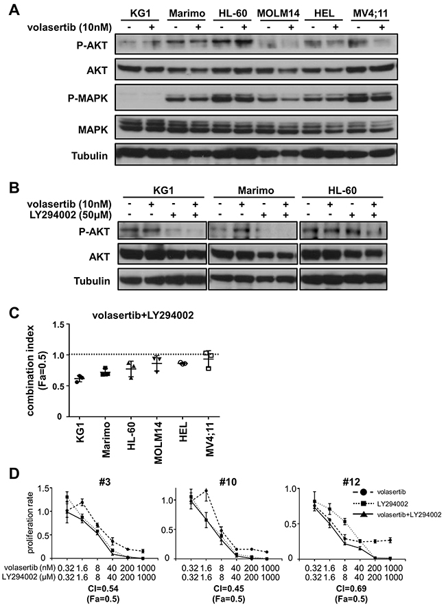 Addition of PI3K inhibitor is a potent combination therapy with volasertib.