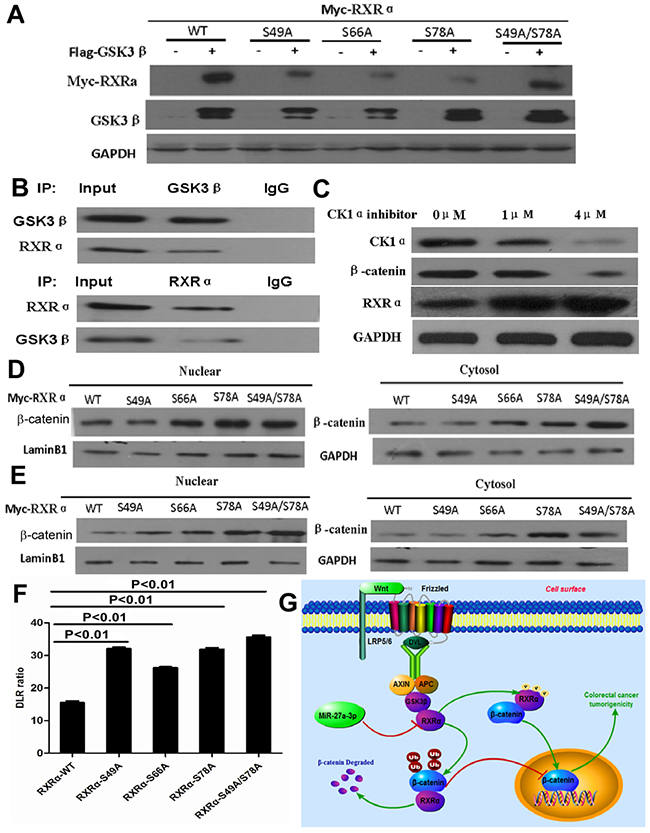 Figure 9: