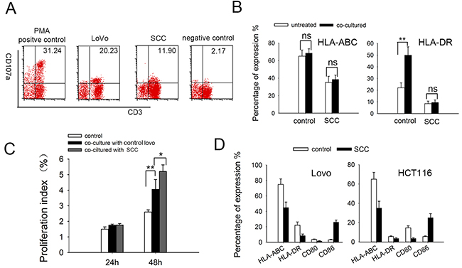 The expressions of immunological markers on DC-CIK and tumor cells.